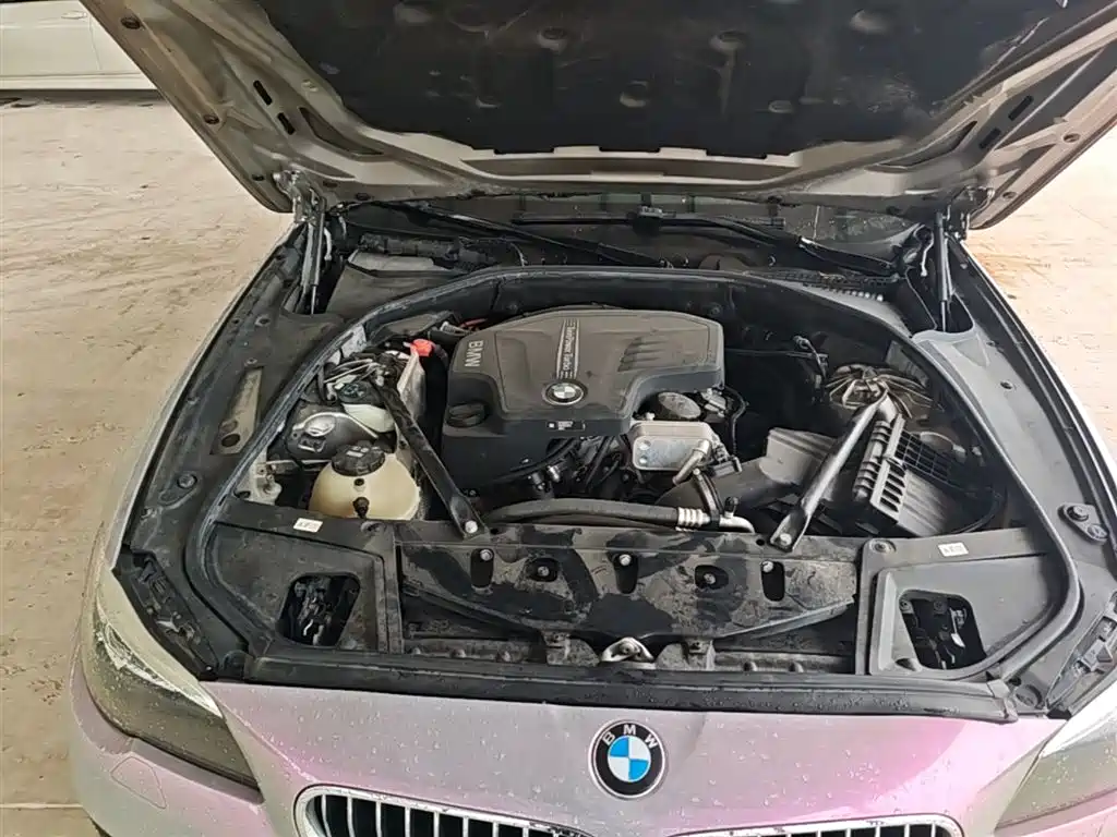 BMW 5 Series 2017 525Li Leading Edition фото 20
