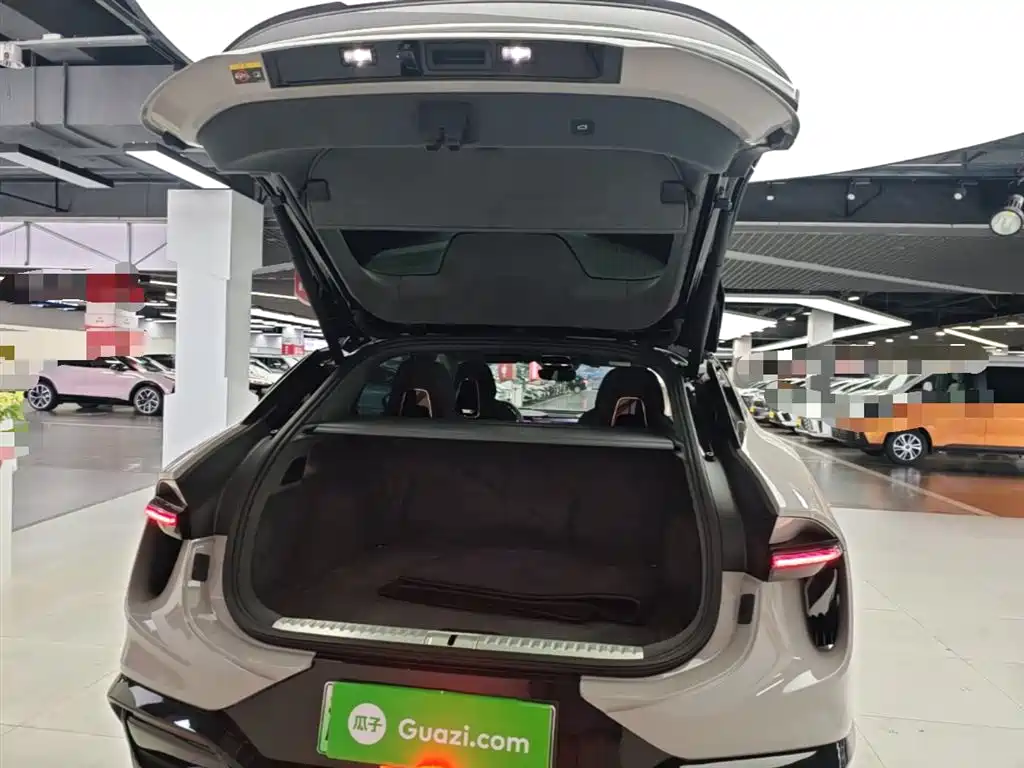 Lotus Cars ELETRE 2023 ELETRE S+ фото 19