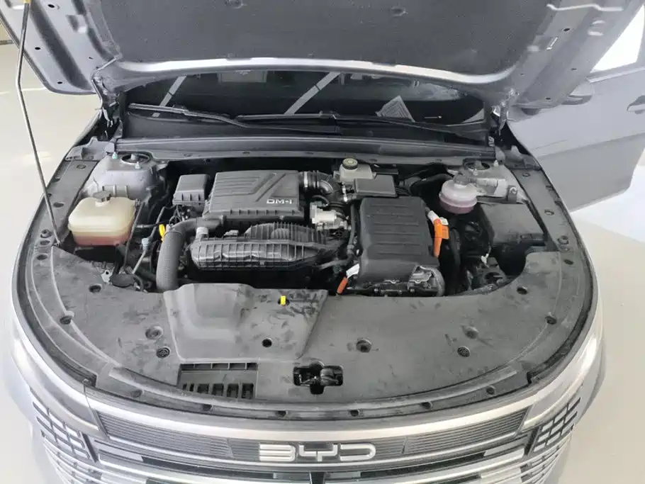 BYD Destroyer 05 2025 2024 Glory Edition DM-i 55KM Luxury
