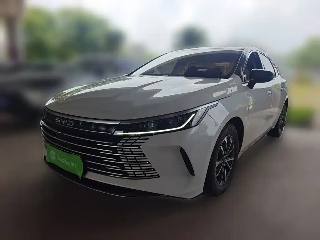 BYD Destroyer 05 2024