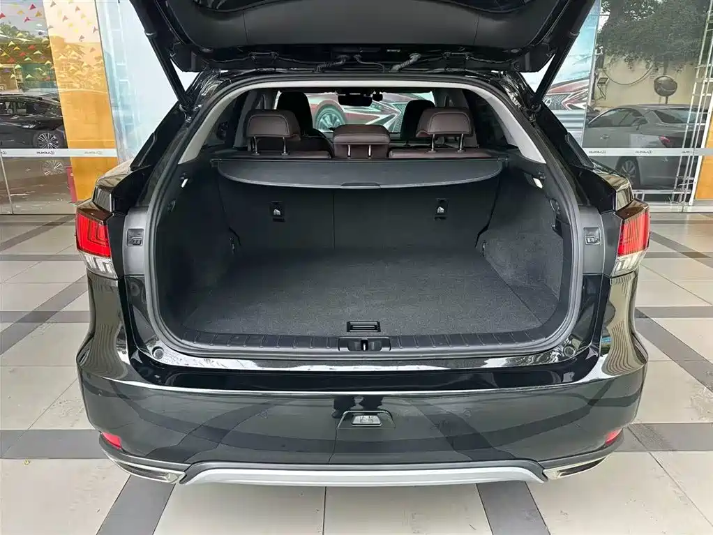 Lexus RX 2020 300 AWD Elegance Edition China V фото 6