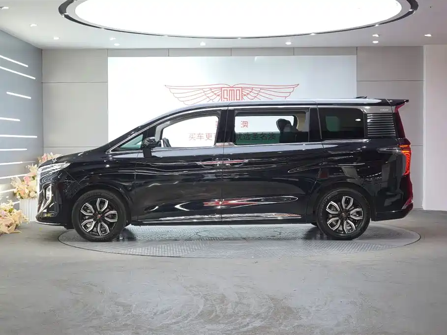 Hongqi HQ9 2023 2.0T Smart Connect Flag Enjoy Edition фото 2