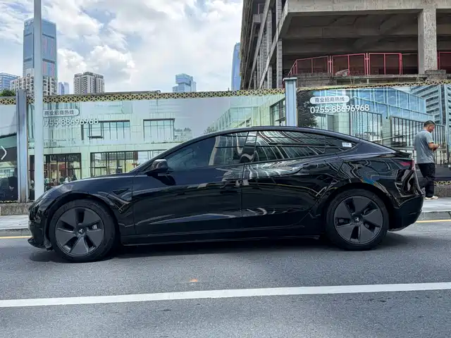 Tesla Model 3 2021 Standard Range Rear-Wheel Drive Upgrade 3D6 — фото 3