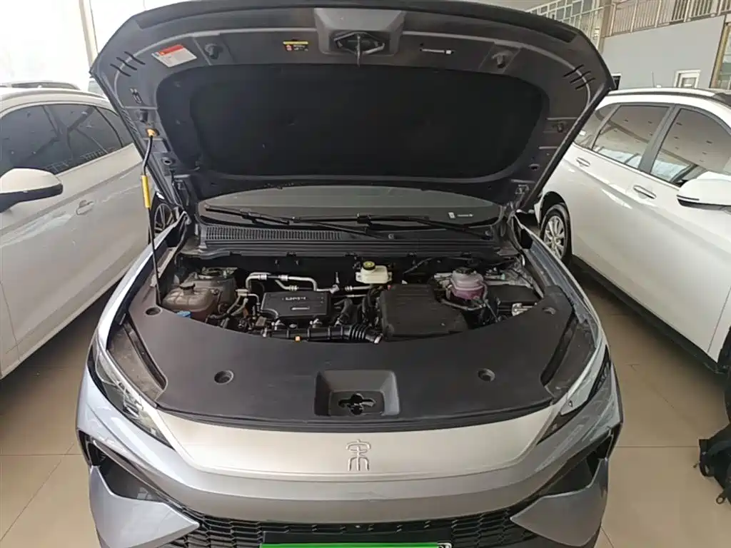 BYD SONGJIANG NEW ENERGY