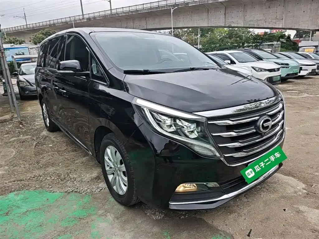 GAC Trumpchi Trumpchi M8 2018 320T Exclusive Edition фото 4