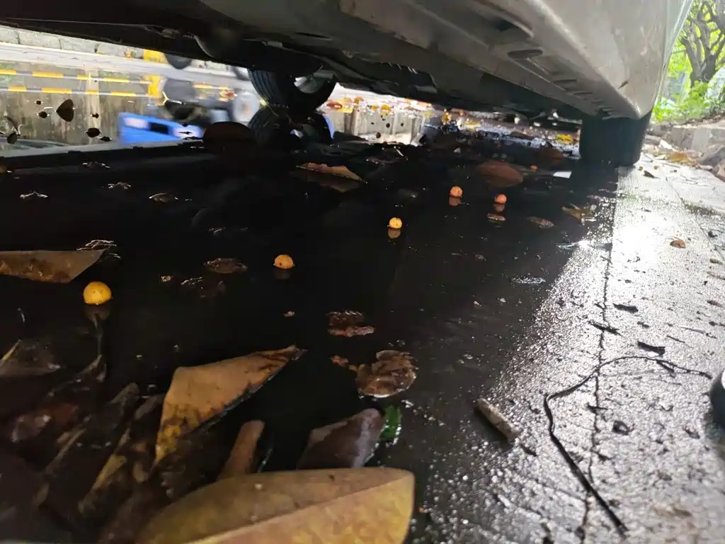 Chery Arrizo GX 2019 2018 1.5T CVT Style Edition China V