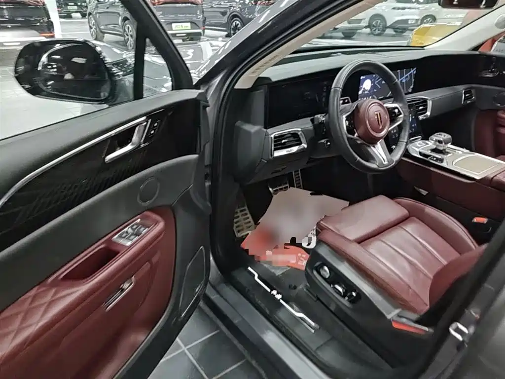 Hongqi E-HS9 2022 660km Qi Chang Edition (6-seater) фото 16