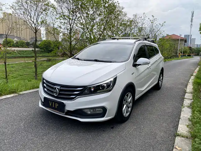 BAOJUN 310W