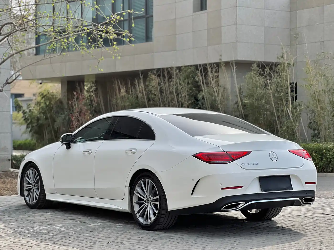 Mercedes-Benz CLS 2018 CLS 300 Luxury фото 19