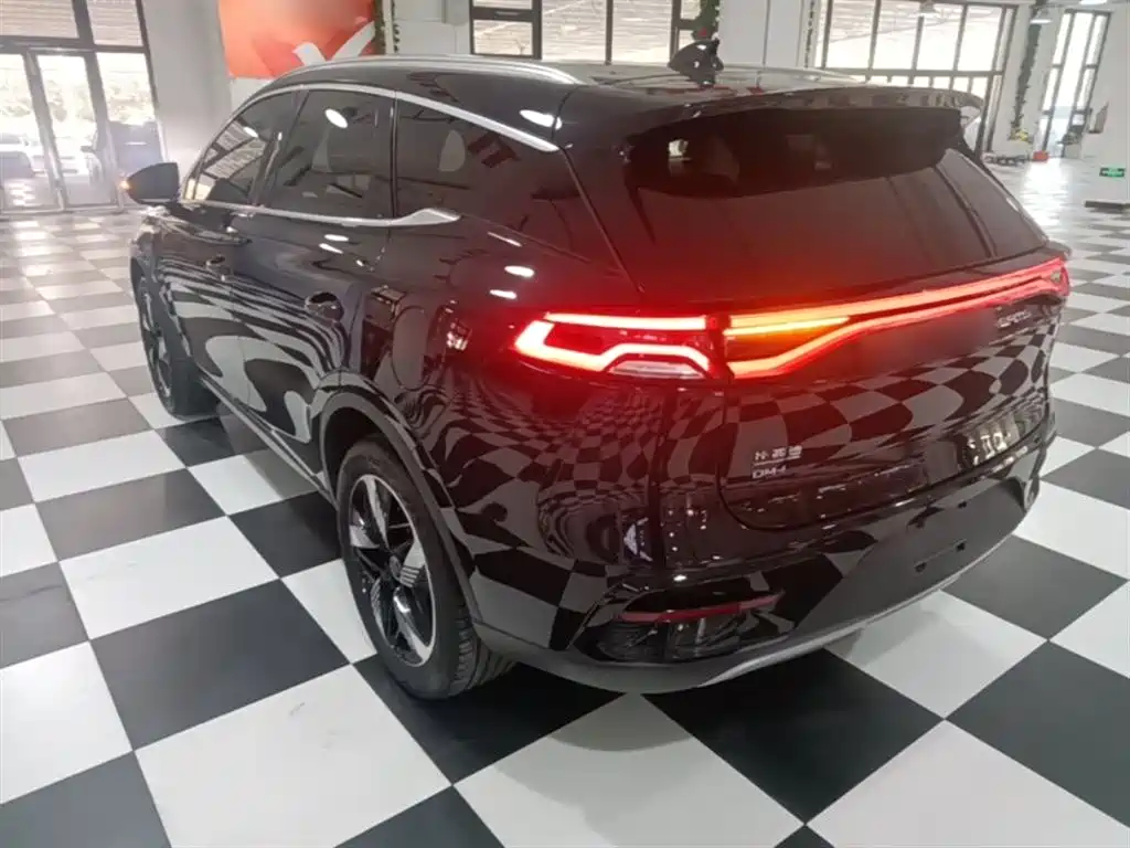 BYD Tang New Energy 2023 Model DM-i Champion Edition 112KM Honor фото 5