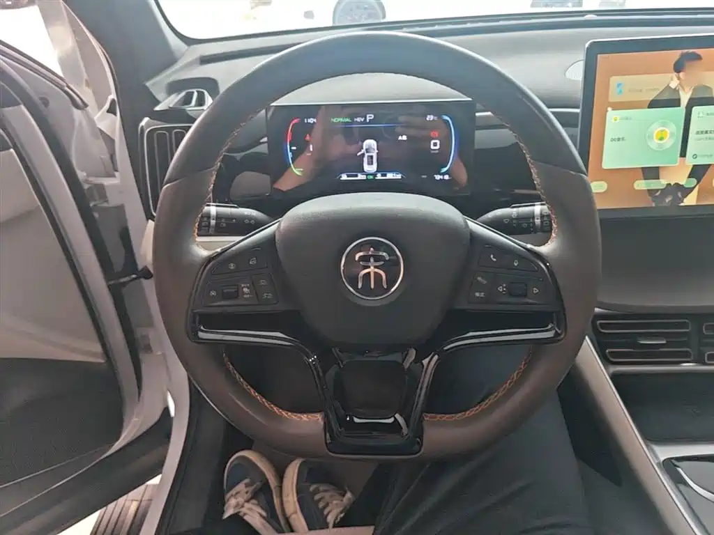 BYD Song Pro New Energy 2022 DM-i 51km Premium фото 11