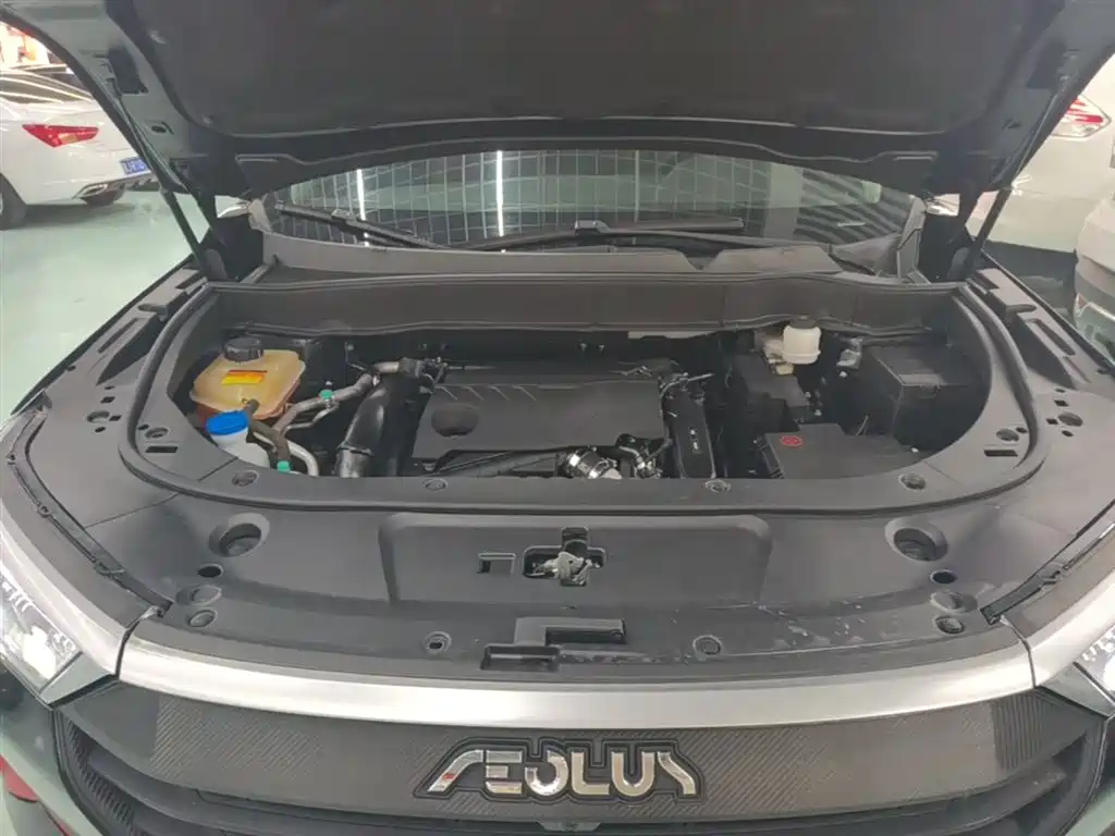 Dongfeng Aeolus Dongfeng Fengshen AX7 2021 2021 PRO 1.6T Auto Giant Wave Edition