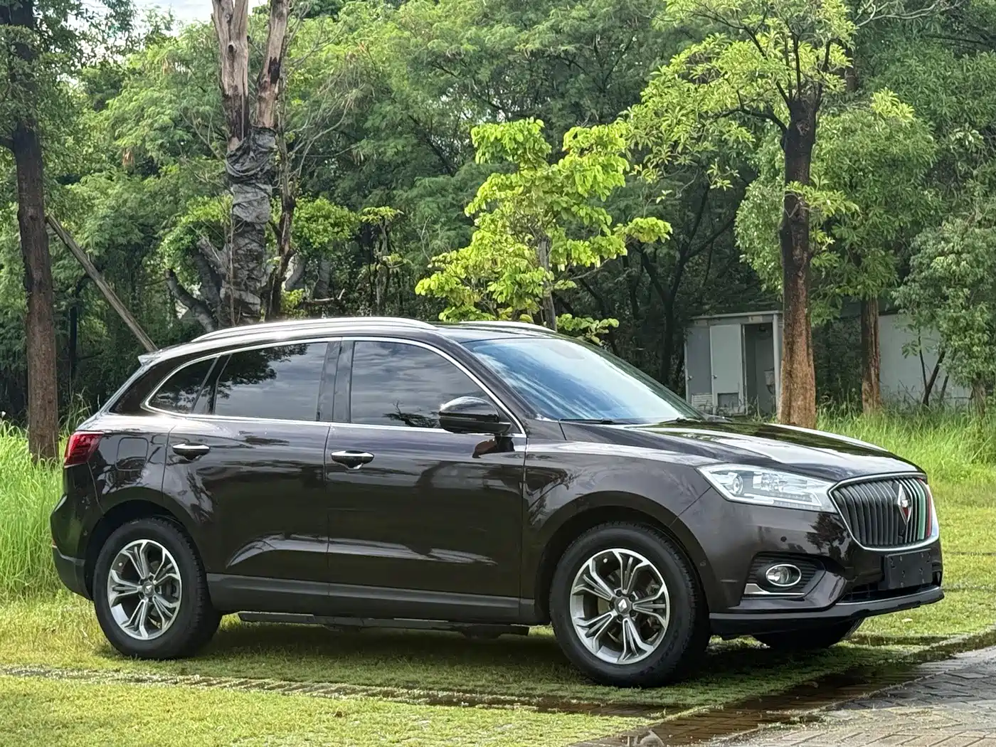 2018 Borgward BX7