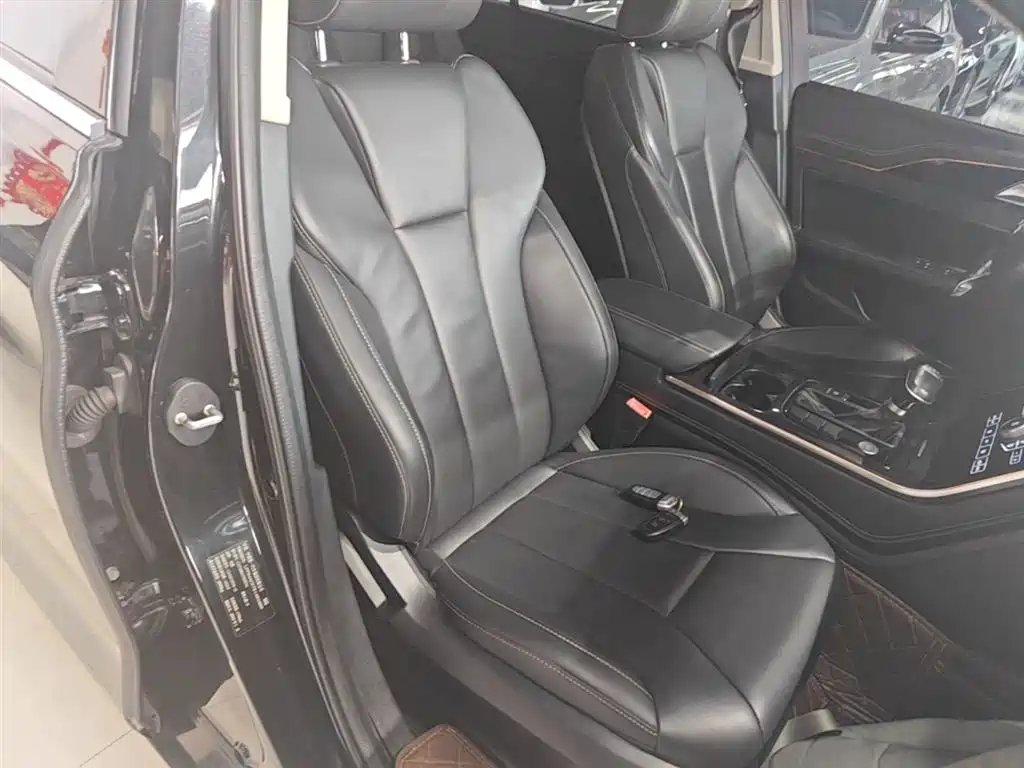 Hongqi H5 2019 30TD Style Edition фото 25