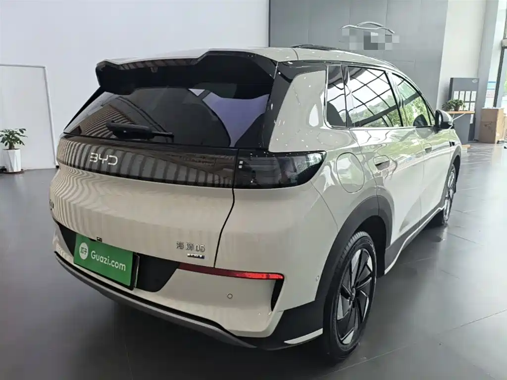 BYD Hai Shi 05 EV 2025 520KM Flagship Smart Navigation Edition фото 7