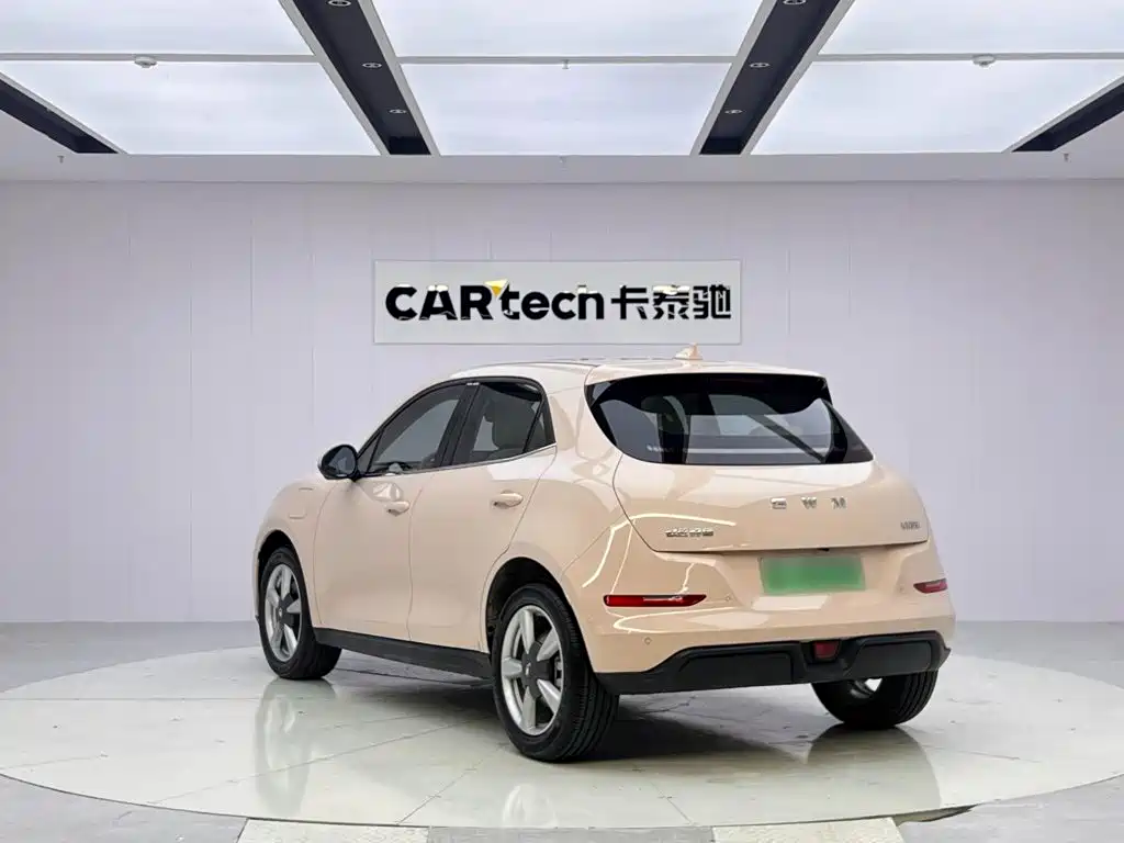 Ora Good Cat 2026 2025 Model 430km Luxury
