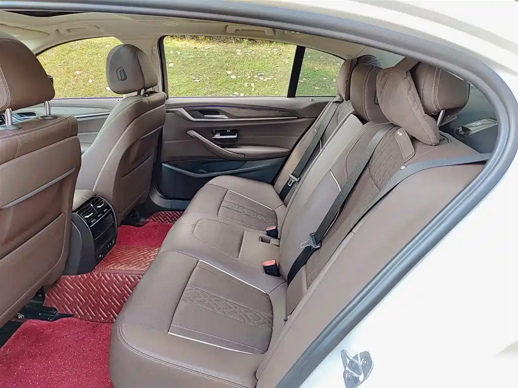 BMW 5 Series 2021 530Li Leading Luxury Package фото 8