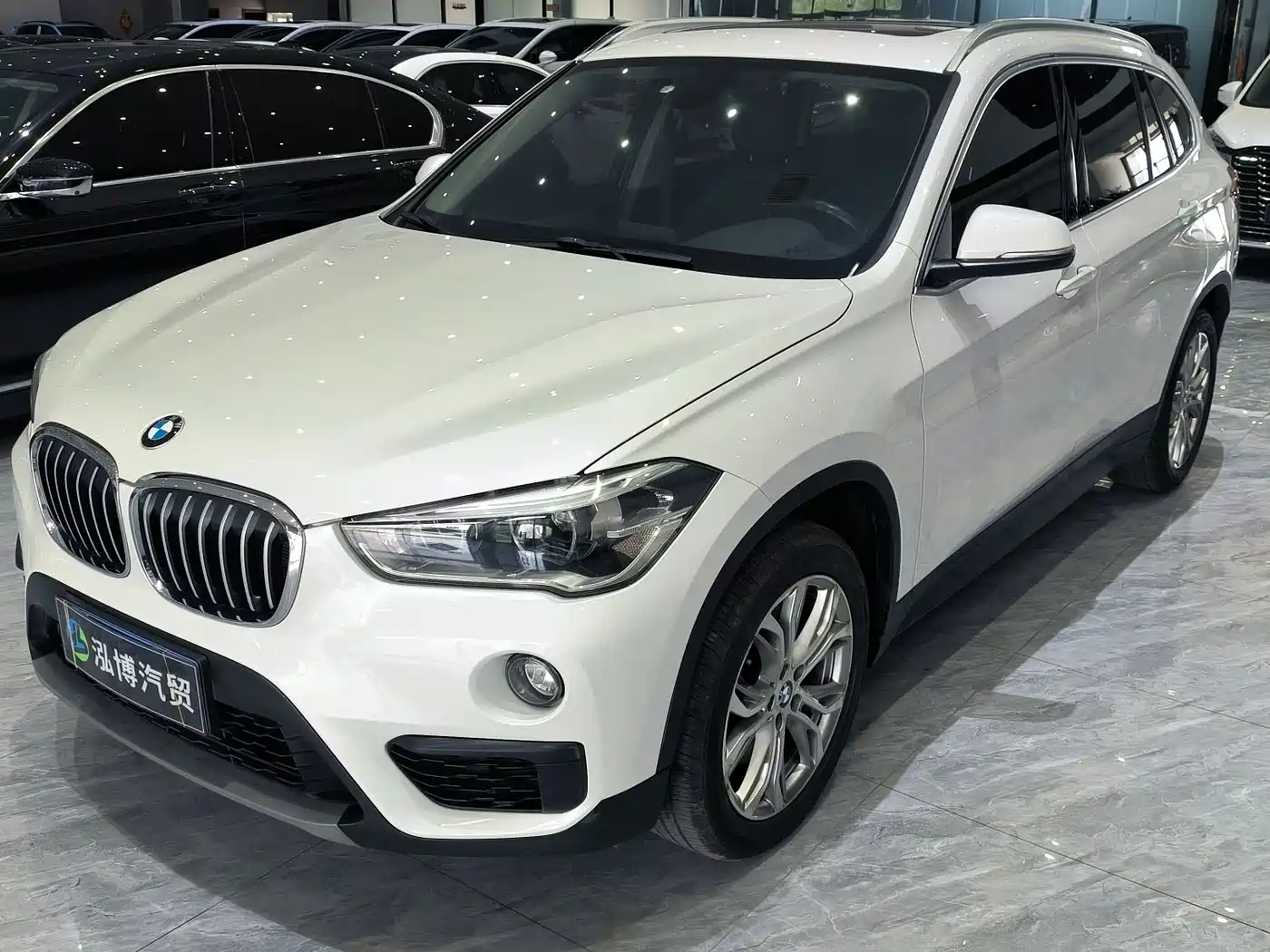 BMW X1 2018 sDrive20Li Leading Model