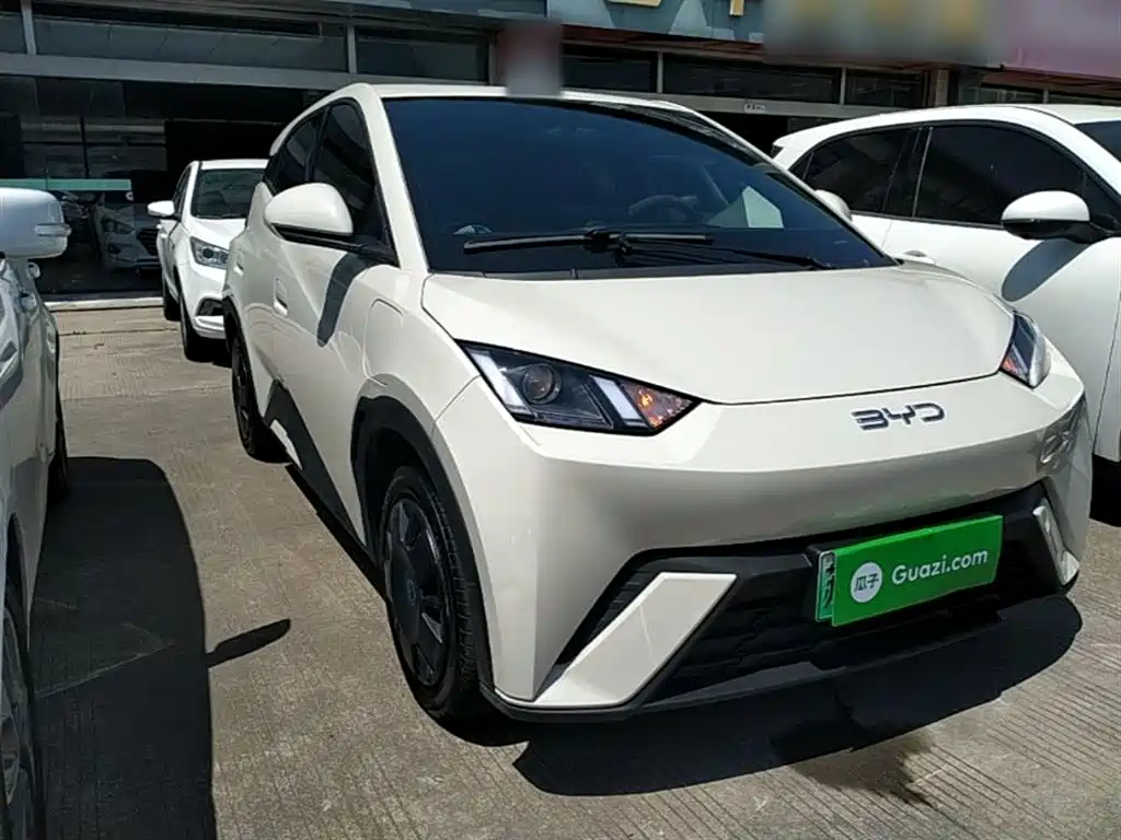 BYD Seagull 2025 305km Vitality фото 4