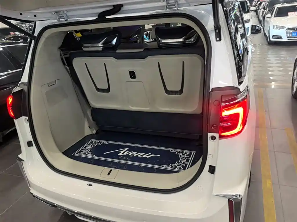 Buick GL8 2021 ES Landlord 653T Comfort фото 19