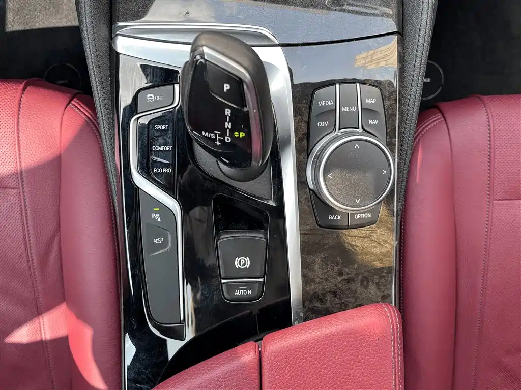 BMW 5 Series 2019 530Li Premium M Sport Package фото 10