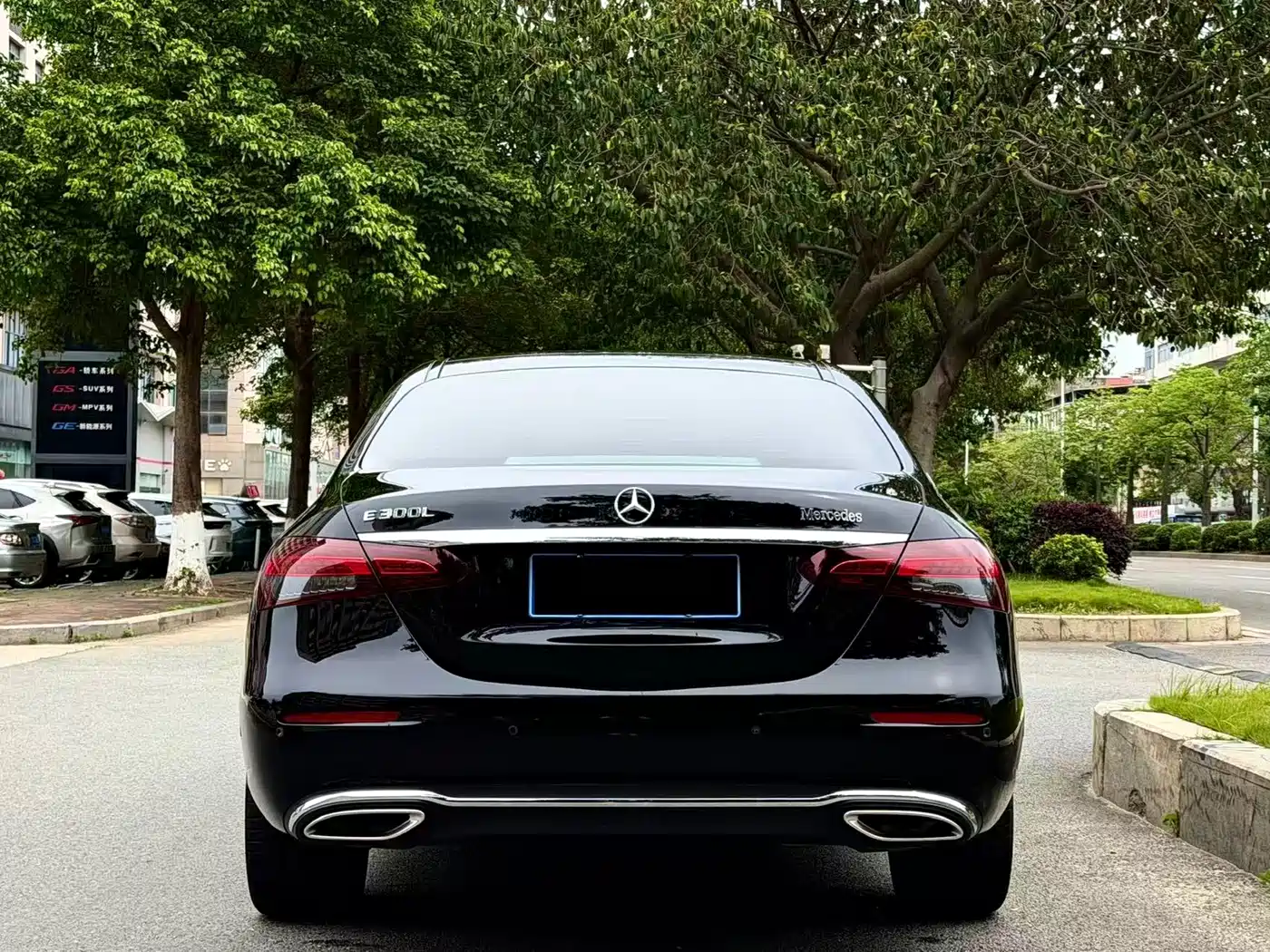 Mercedes-Benz E-Class 2021 E 300 L Luxury фото 9
