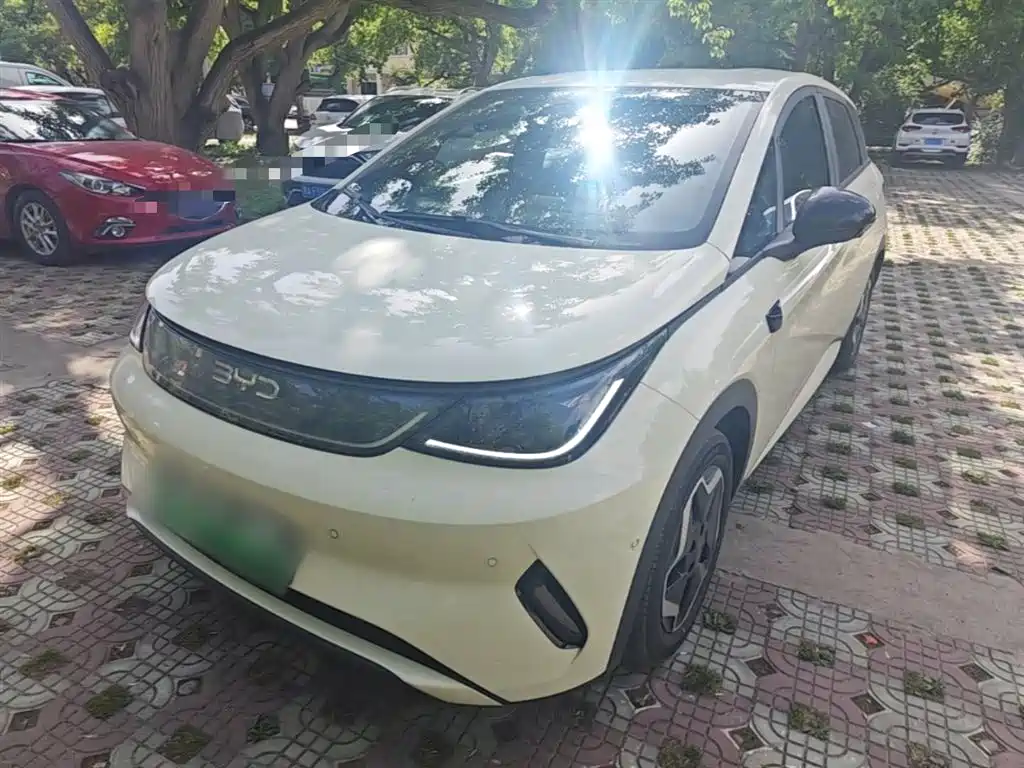 BYD Dolphin 2025 Smart Drive Edition 420km Freedom Version