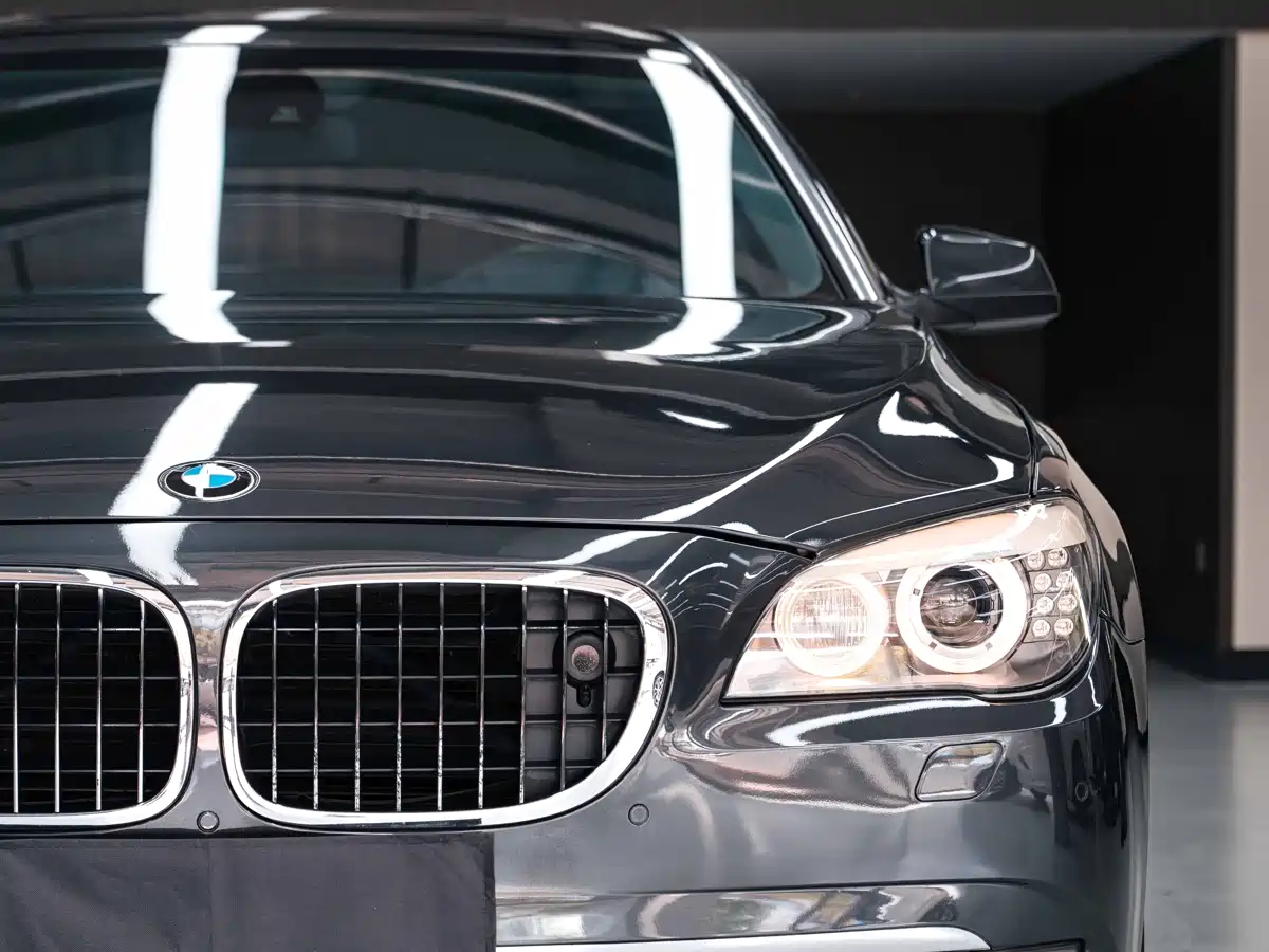 BMW 7 Series 2009 750Li Premium фото 5