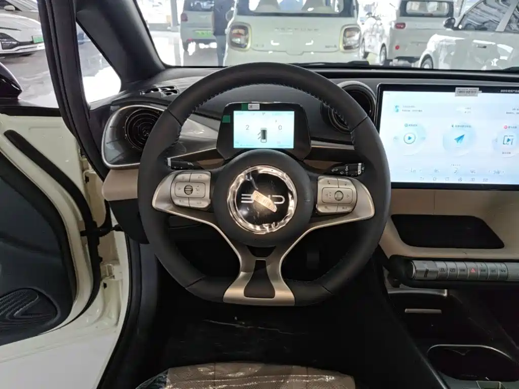 BYD Dolphin 2026 2025 420km Freedom Edition