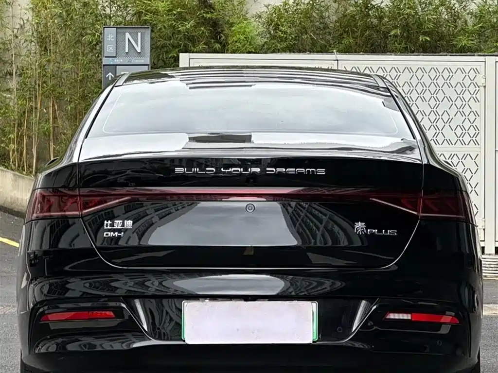 BYD Qin PLUS 2024 Glory Edition DM-i 55KM Leading фото 5