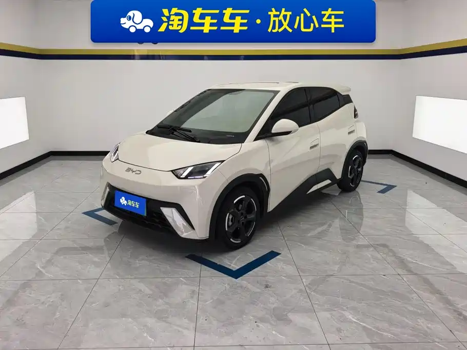 BYD Seagull 2024