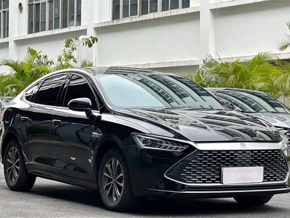 BYD Qin PLUS 2024 Glory Edition DM-i 55KM Leading фото 3