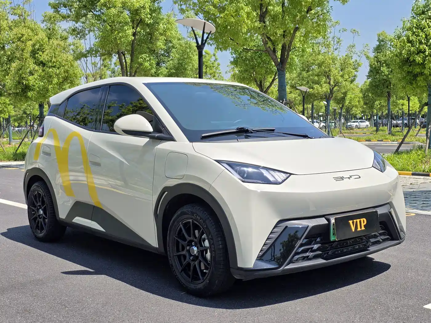 BYD Seagull 2023 Vitality Edition фото 3