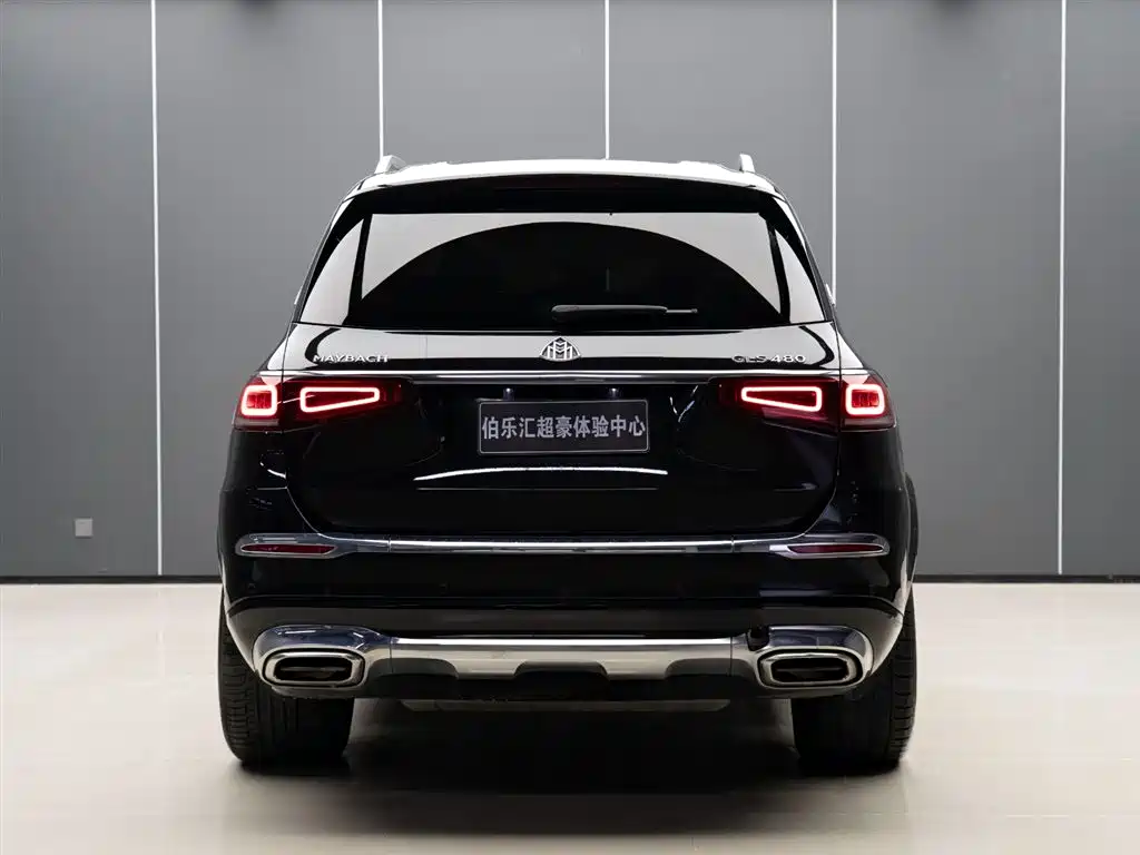 Mercedes-Benz Maybach GLS 2021 GLS 480 4MATIC фото 5