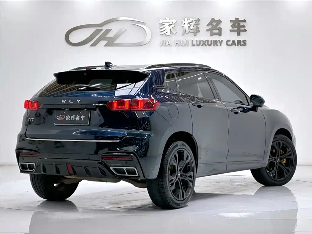 WEI PAI WEI BRAND VV7