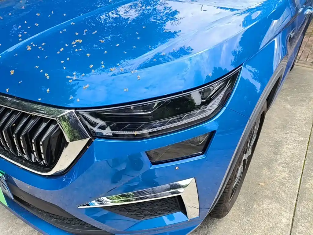Škoda Kodiaq 2024 2024 TSI330 5-seater 2WD Luxury Edition