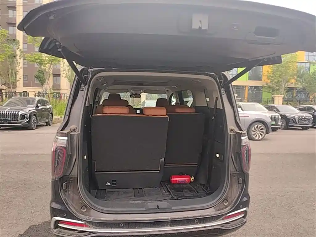 Hongqi HQ9 PHEV 2024 Model 2.0T AWD Business Edition фото 19