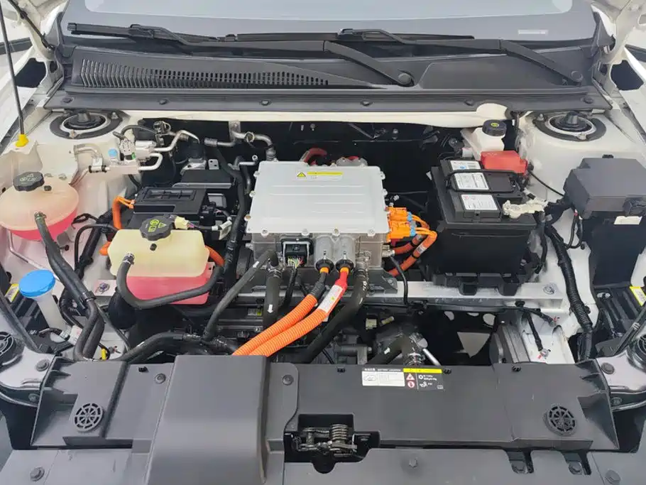 BYD e2 2020 2020 Upgrade Standard Range Standard Model