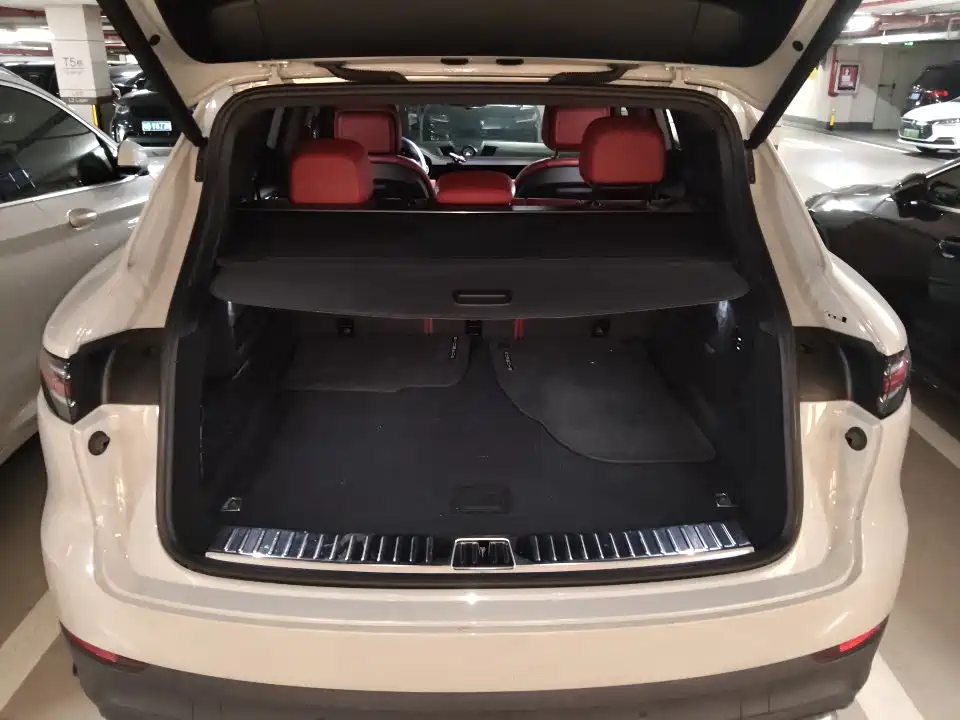 Porsche Cayenne New Energy 2022 2022 Cayenne E-Hybrid 2.0T Platinum Edition