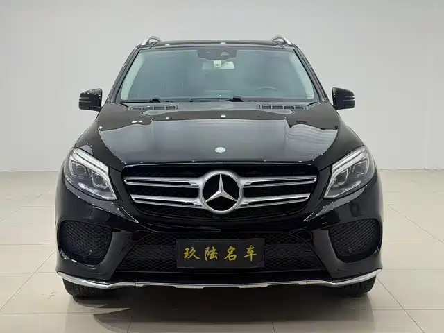 Mercedes-Benz GLE 2016 GLE 320 4MATIC Luxury — фото 2