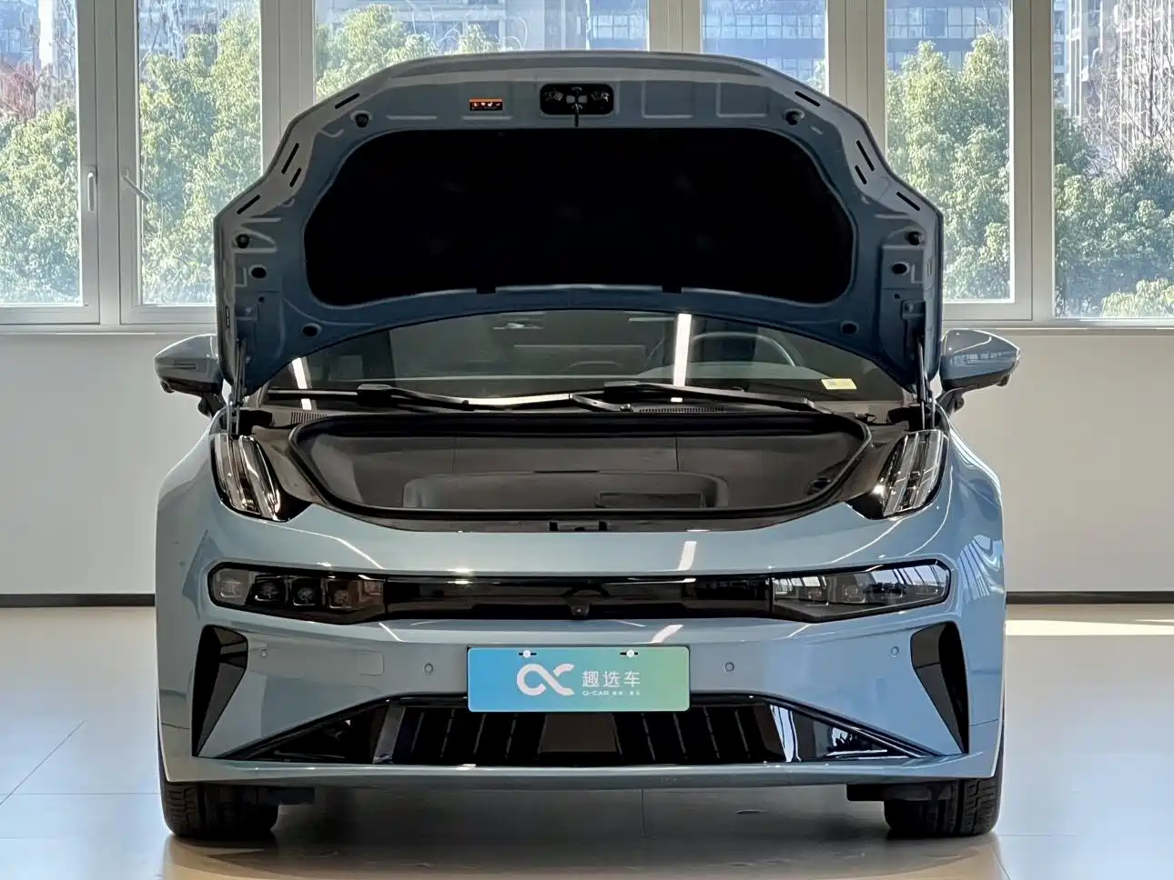 ZEEKR EXTREME KRYPTON 001