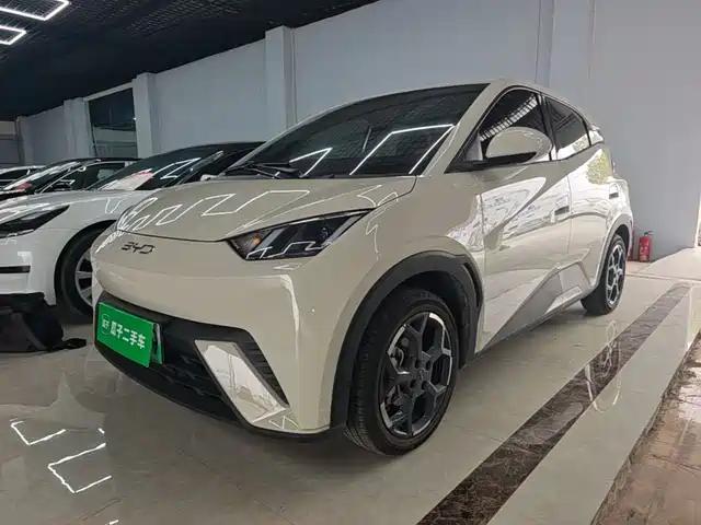 BYD Seagull 305km, Свобода