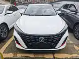 Фото 2 - Changan Eado