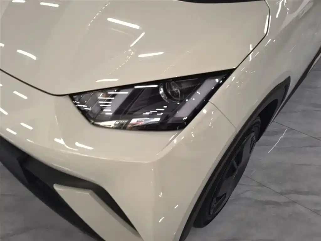 BYD Seagull 2024 Glory Edition 305km Vitality Edition фото 24