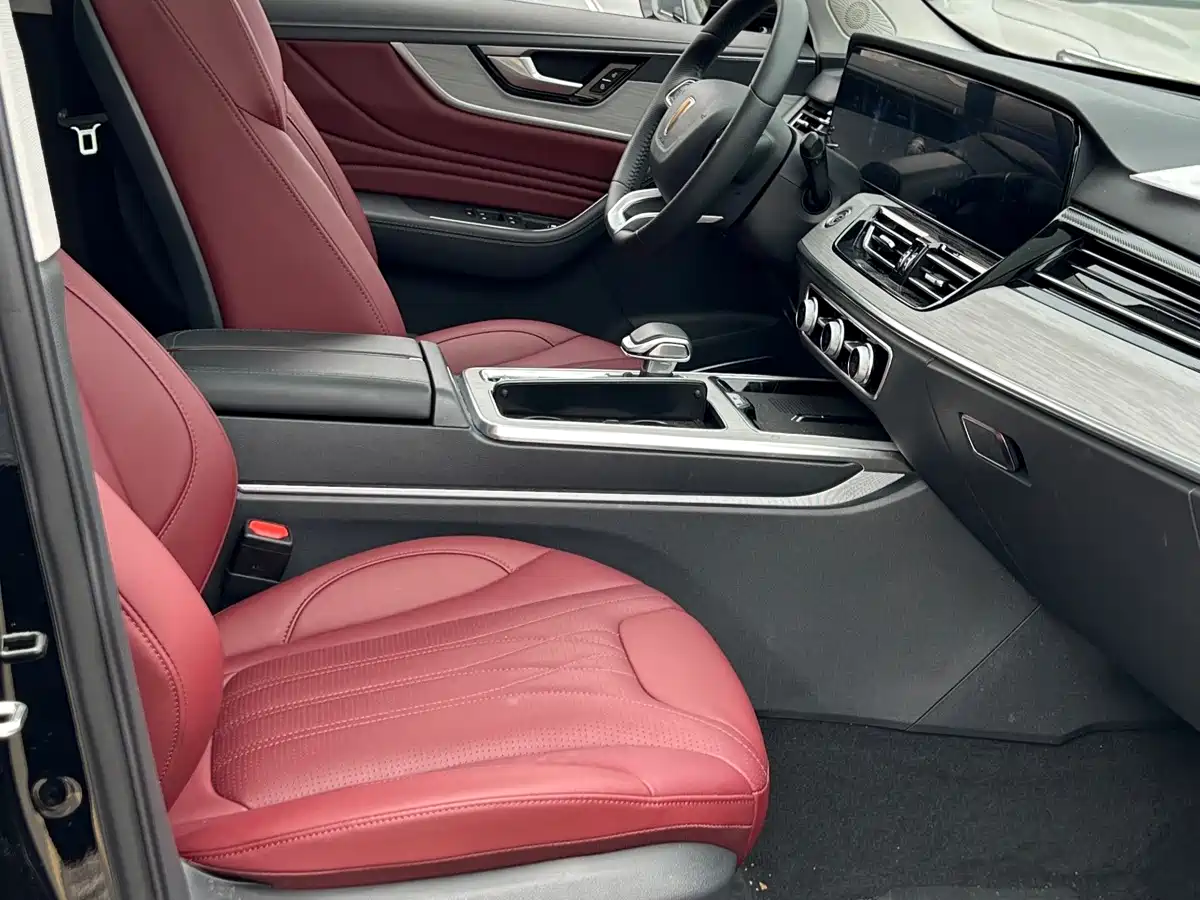 Photo 10 - Hongqi HS5