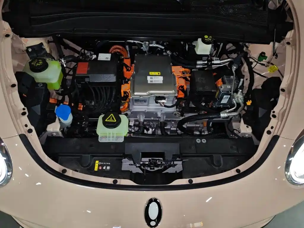 Ora Good Cat 2025 2025 430km Honor Edition