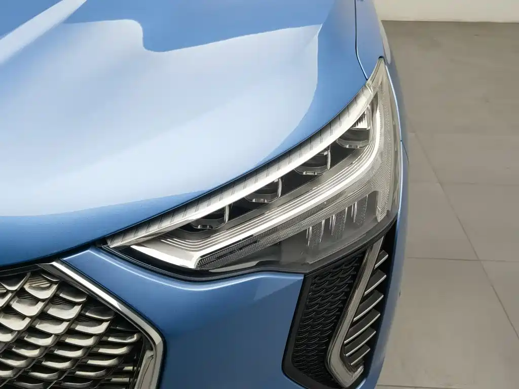 Haval First Love 2021 2021 1.5T Automatic Premium Edition
