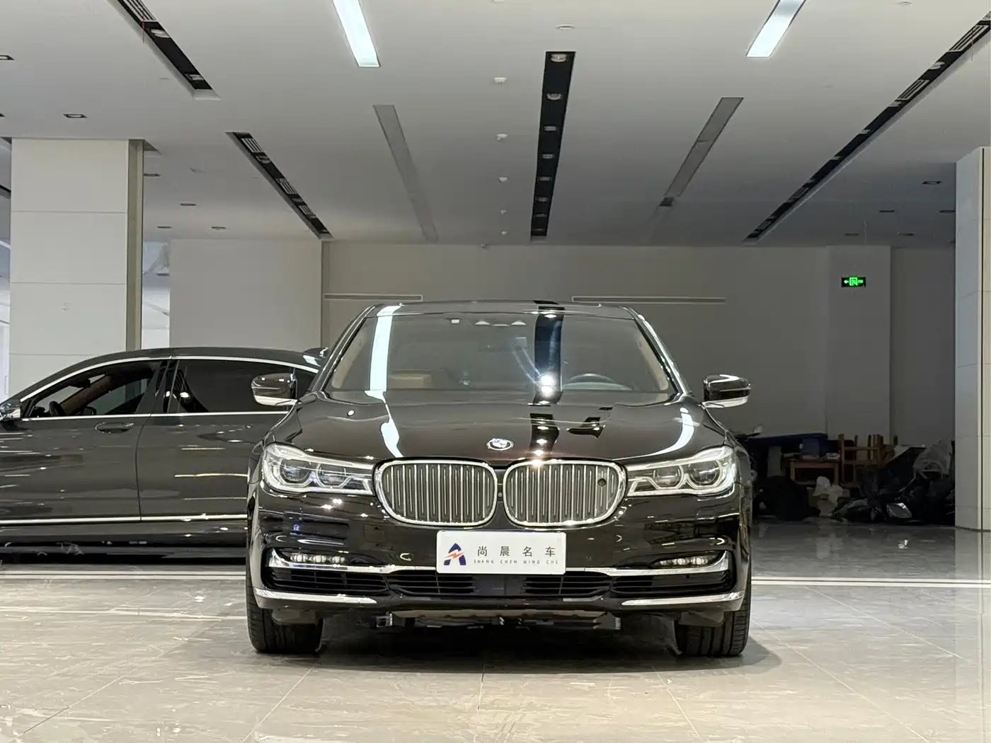 BMW 7 Series 2017 750Li xDrive Customized Edition (4-Seater) фото 2