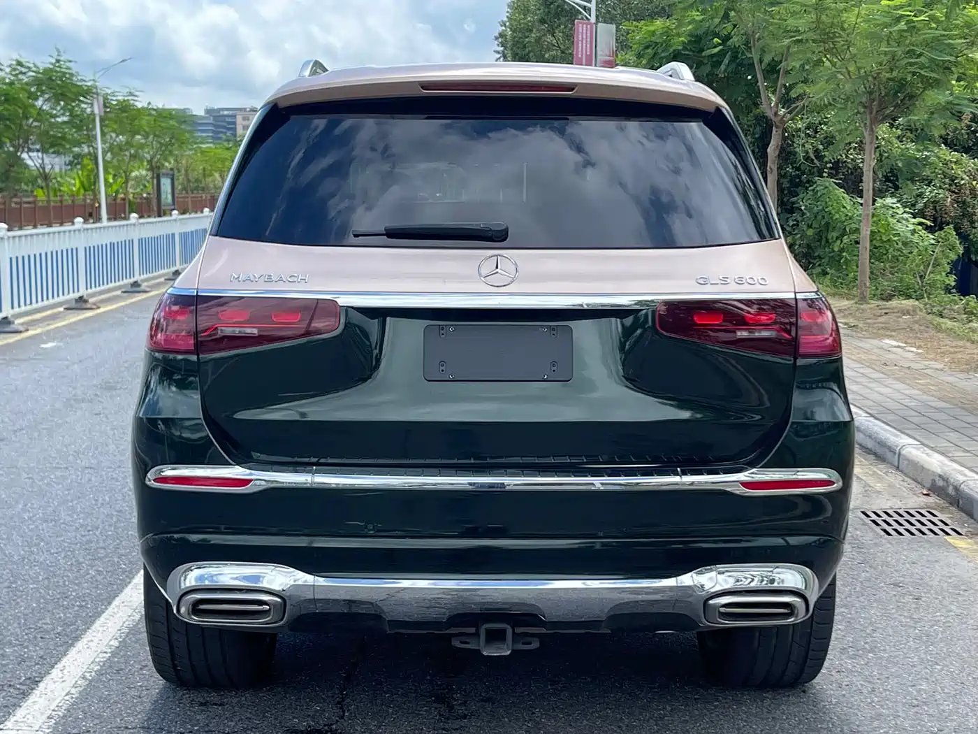 Mercedes-Benz Maybach GLS 2022 GLS 480 4MATIC фото 5