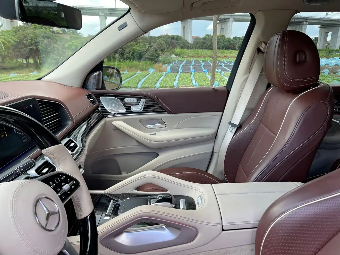 Mercedes-Benz Maybach GLS 2022 GLS 480 4MATIC фото 21